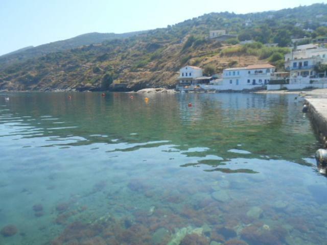 The House On The Coast